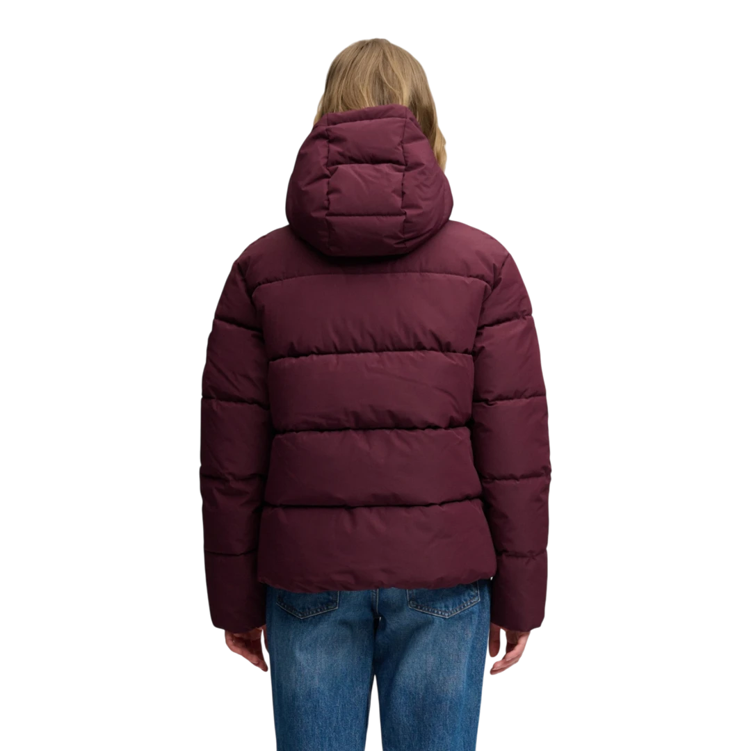 SUPERDRY ŽENSKA JAKNA LJUBIČASTA 53167
