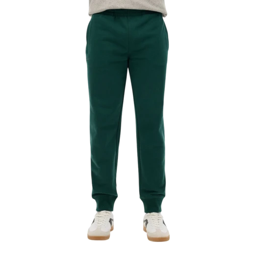 SUPERDRY MUŠKE PANTALONE ZELENA 51015