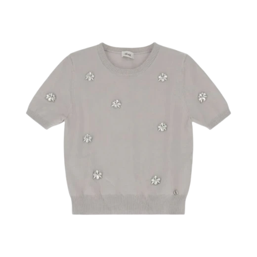 DIXIE ŽENSKI DŽEMPER SIVA